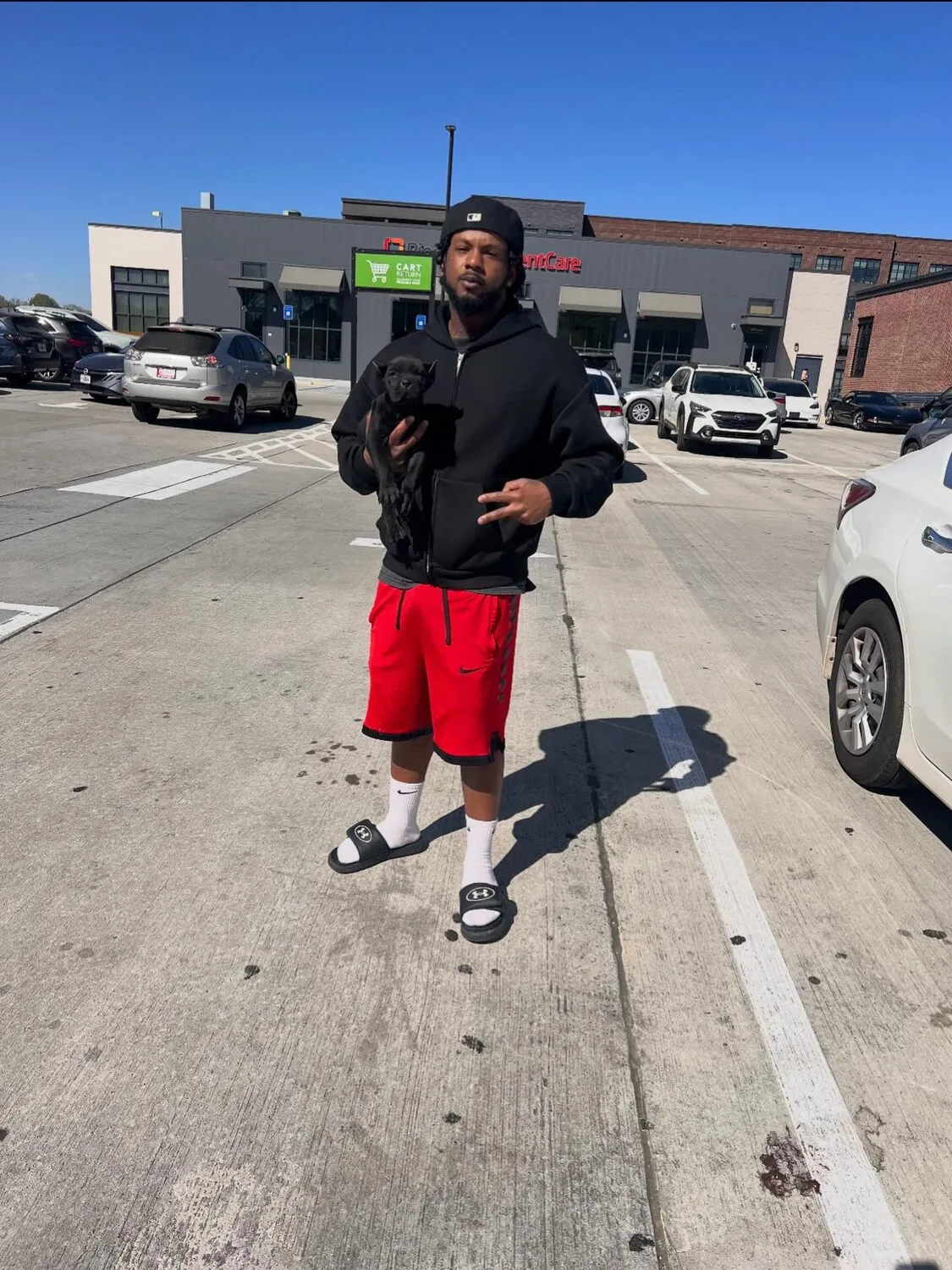 An owner with their Dboyland puppy